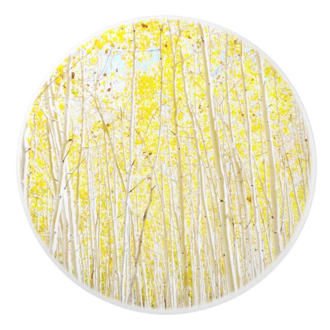 Vanilla Cake Aspen träd Knopp (Framsidan)