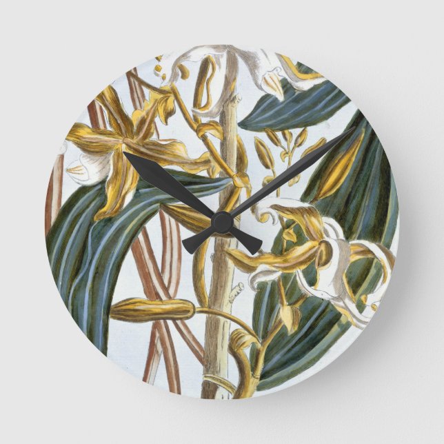 Vanilla-poder, platta 65, från Collection Precieus Rund Klocka (Framsida)