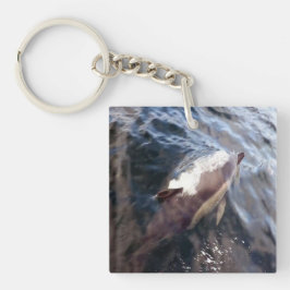 Vanlig delfin Oceaniska Marina Vilda djur Sjöfart