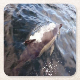 Vanlig delfin som bryter vattenytan havsrörelse underlägg papper kvadrat