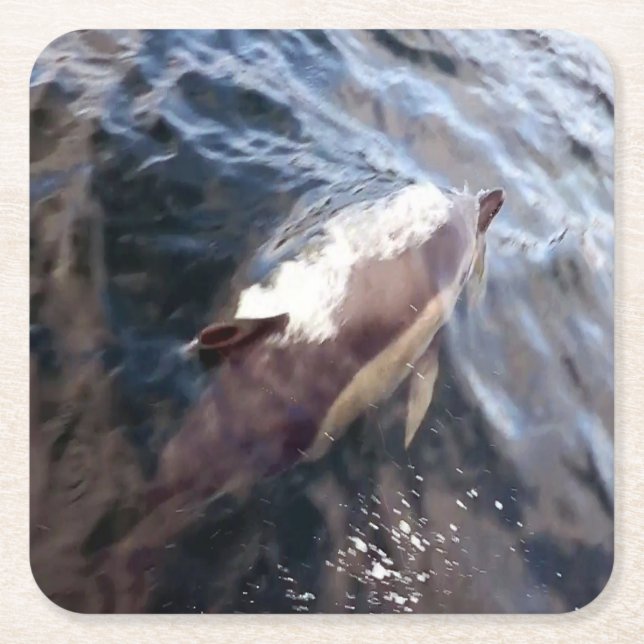 Vanlig delfin som bryter vattenytan havsrörelse underlägg papper kvadrat (Framsidan)
