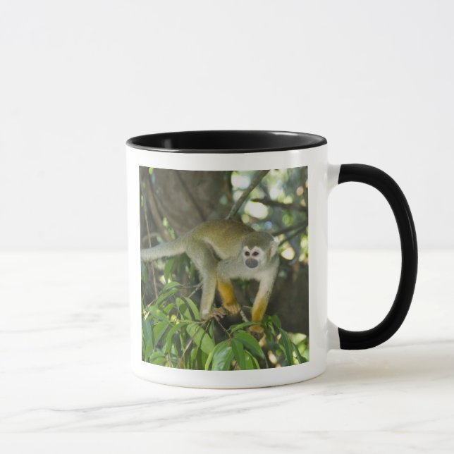 Vanlig dödskalleapa, (Saimiri sciureus), Rio Mugg (Höger)