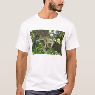 Vanlig dödskalleapa, (Saimiri sciureus), Rio T-shirt