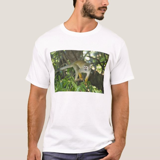 Vanlig dödskalleapa, (Saimiri sciureus), Rio T-shirt (Framsida)