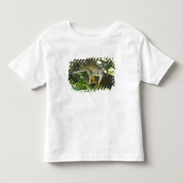 Vanlig dödskalleapa, (Saimiri sciureus), Rio Tee (Framsida)