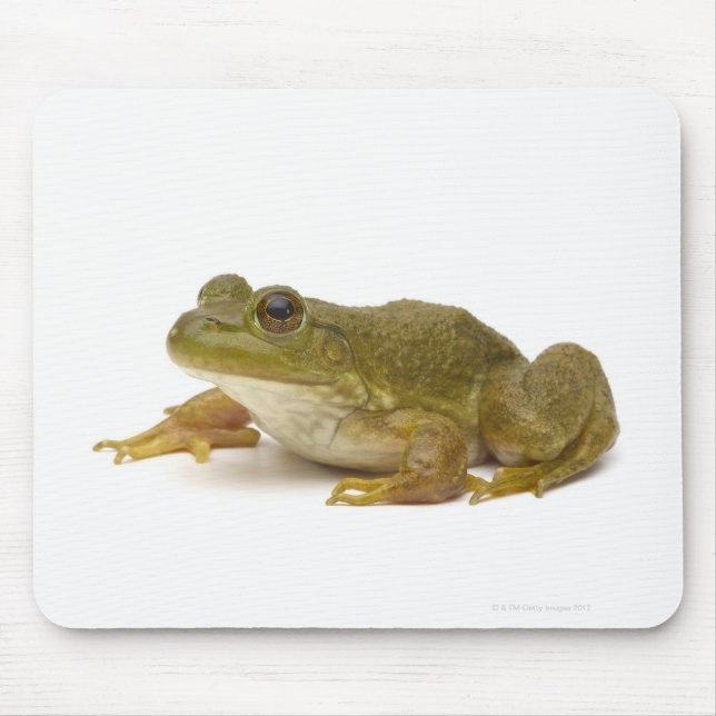 Vanlig Grönt Frog Musmatta (Framsidan)