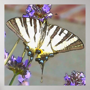 Vanlig Gult Svetsvansar på Lilac Flowers Black O Poster
