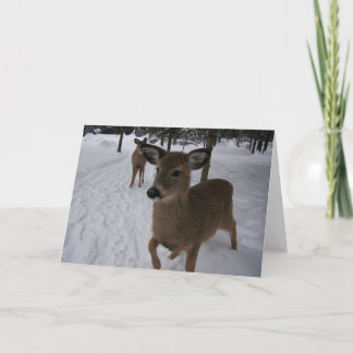 vänlig hjort kort