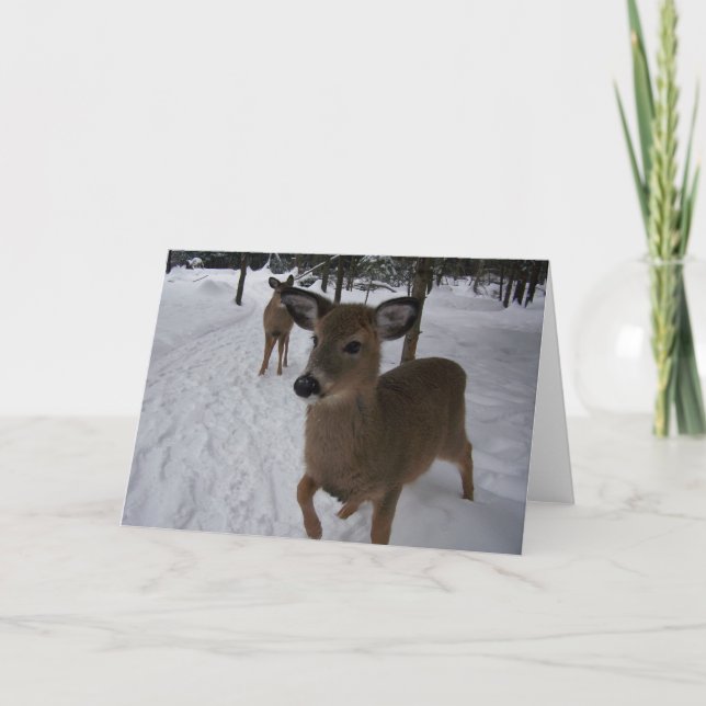 vänlig hjort kort (Framsida)
