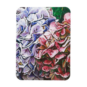 Vanlig hortensia 2010 magnet