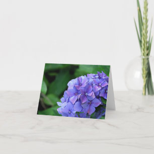 Vanlig hortensia 6893 kort