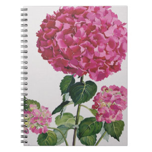 Vanlig hortensia anteckningsbok med spiral