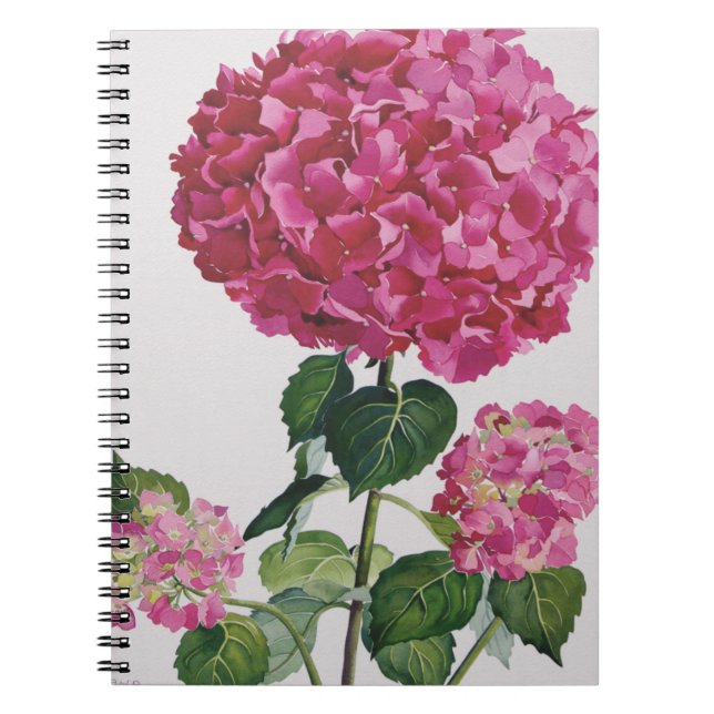Vanlig hortensia anteckningsbok med spiral (Framsidan)