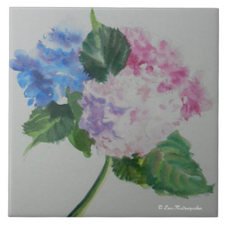 Vanlig hortensia belägger med tegel kakelplatta