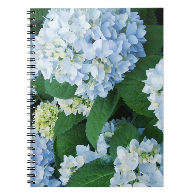 Vanlig hortensia blommar anteckningsboken anteckningsbok med spiral (Framsidan)
