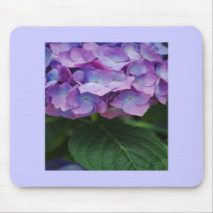 Vanlig hortensia blommar Mousepad Musmatta