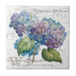 Vanlig hortensia blomstrar monogramen kakelplatta