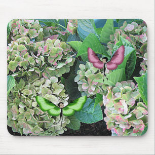 Vanlig hortensia & Butterfairies Musmatta