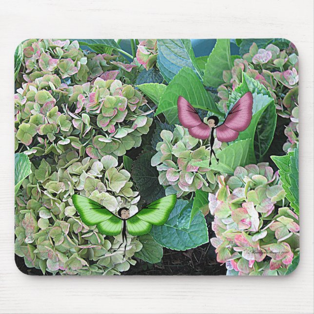 Vanlig hortensia & Butterfairies Musmatta (Framsidan)