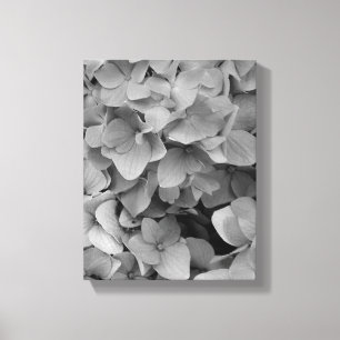 Vanlig hortensia canvastryck