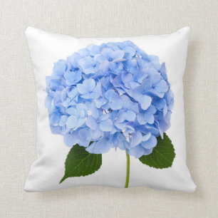Vanlig hortensia kudde