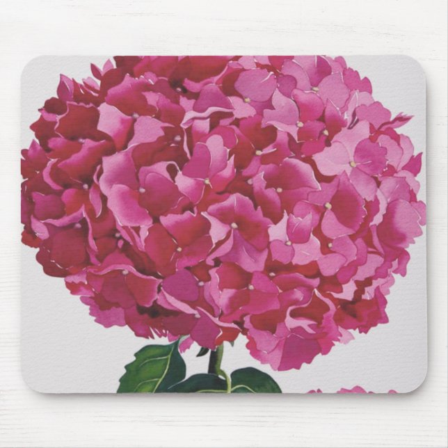 Vanlig hortensia musmatta (Framsidan)