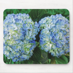 Vanlig hortensia musmatta