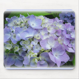 Vanlig hortensia musmatta
