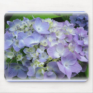 Vanlig hortensia musmatta