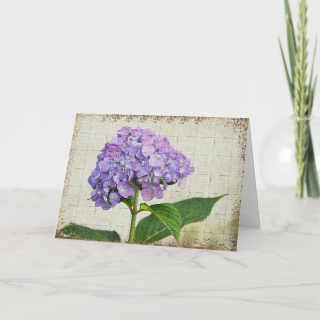 Vanlig hortensia Notecard Kort (Framsida)