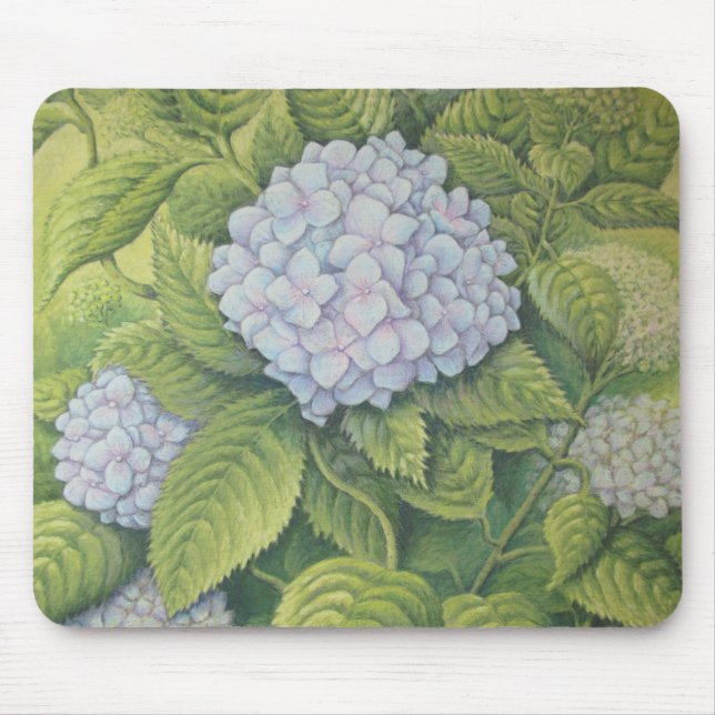 Vanlig hortensia på Lanhydrock i pastell Musmatta (Framsidan)