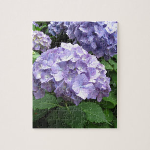 Vanlig hortensia på Trebah trädgårdar, Cornwall Pussel