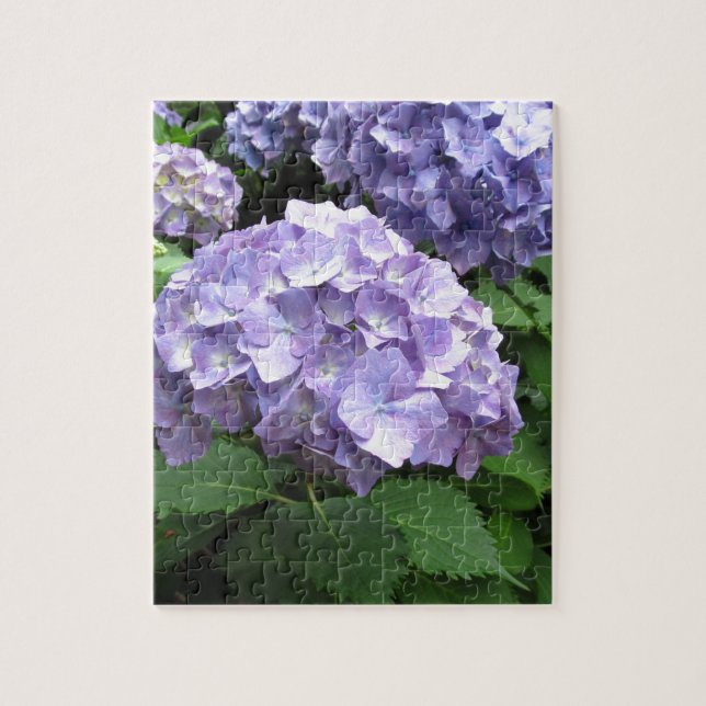 Vanlig hortensia på Trebah trädgårdar, Cornwall Pussel (Vertikal)