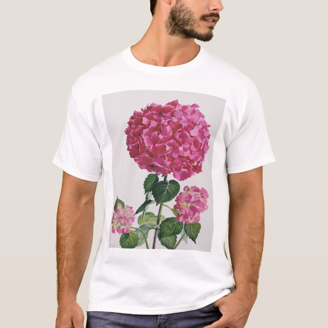 Vanlig hortensia tee (Framsida)