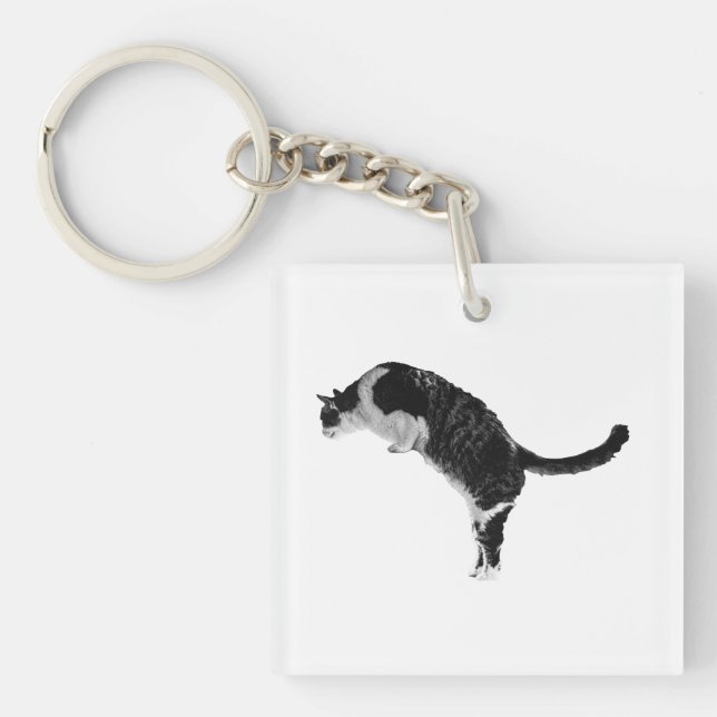 Vänlig kattnyckel (Framsidan)