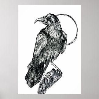 Vänlig Kråka Poster