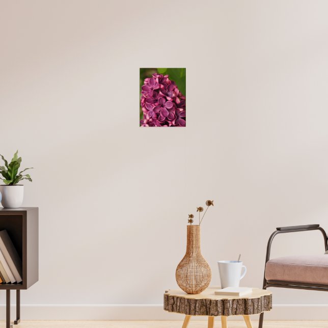 Vanlig lilak poster (Vardagsrum 3)