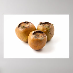 Vanlig medlar poster