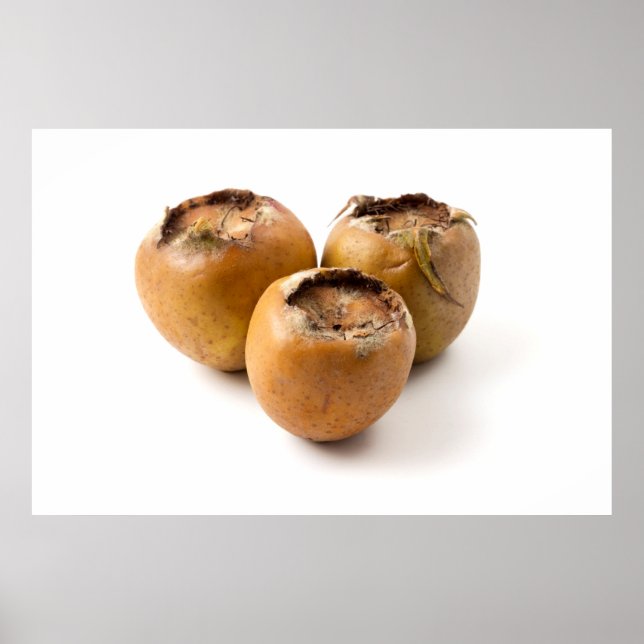 Vanlig medlar poster (Framsidan)