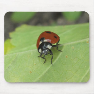 Vänlig nyckelpiga Mousepad Musmatta
