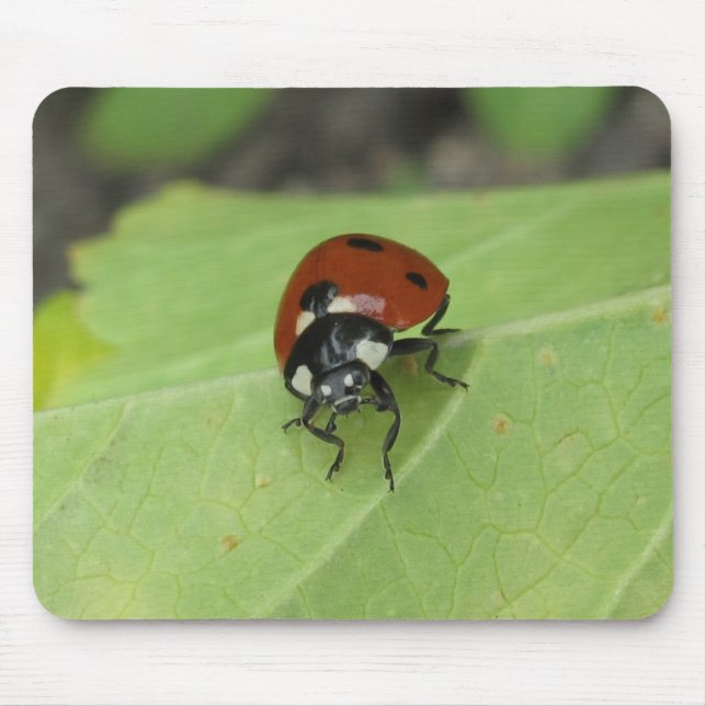 Vänlig nyckelpiga Mousepad Musmatta (Framsidan)