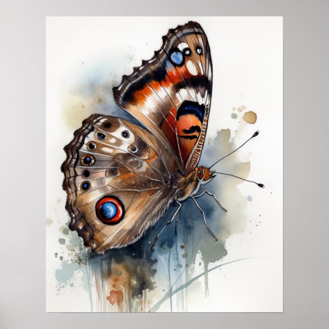 Vanlig Poster av Buckeye Butterfly Art-utskrift (Framsidan)