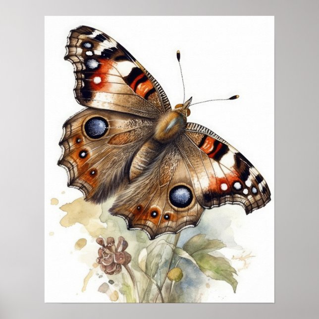 Vanlig Poster av Buckeye Butterfly Art-utskrift (Framsidan)