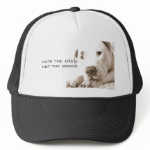 vänlig sömnig vit pitbull-hathandling som inte föd