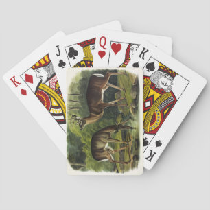Vanlig (vit) Hjort - Kvadroner av Audubon Casinokort