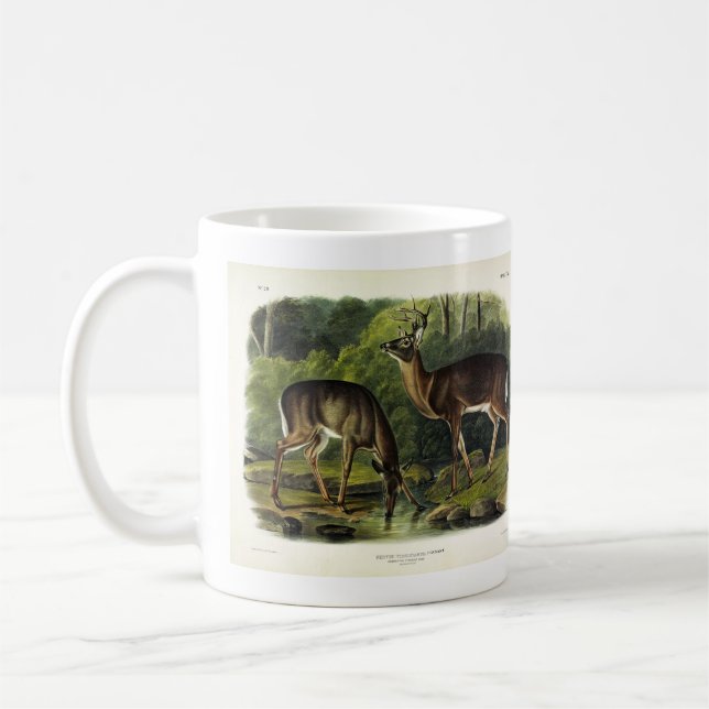Vanlig (vit) Hjort - Kvadroner av Audubon Kaffemugg (Vänster)