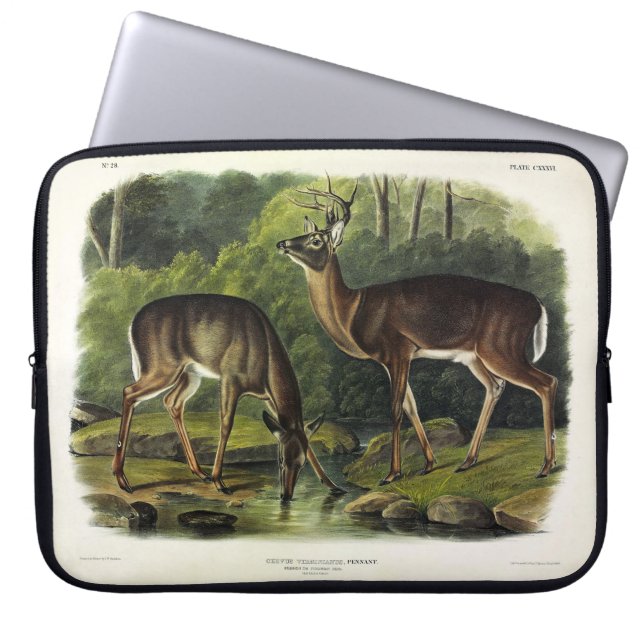 Vanlig (vit) Hjort - Kvadroner av Audubon Laptop Fodral (Framsidan)