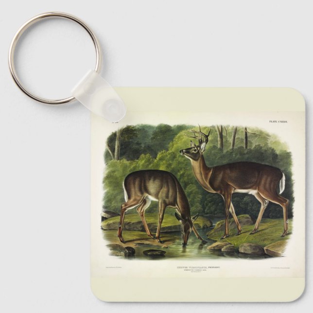 Vanlig (vit) Hjort - Kvadroner av Audubon Nyckelring (Framsida)