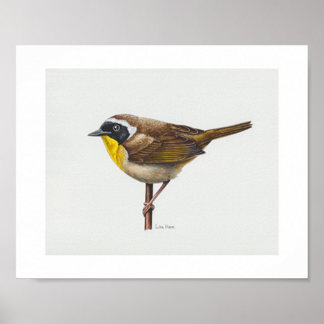 Vanlig Yellowskimrande Warbler Art Skriv ut Poster (Framsidan)