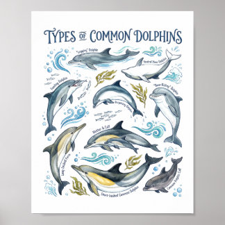 Vanliga delfiner akvarell havet vilda djur konst poster